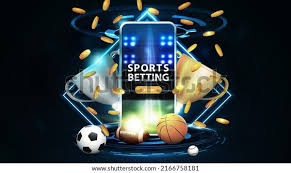 Descubra tudo sobre 811 Bet